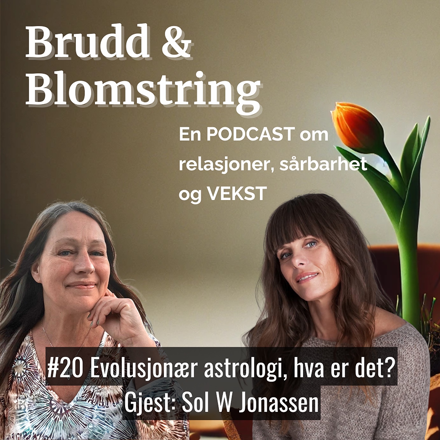 #20 Evolusjonær astrologi - hva er det?  Med gjest Sol W Jonassen episode artwork