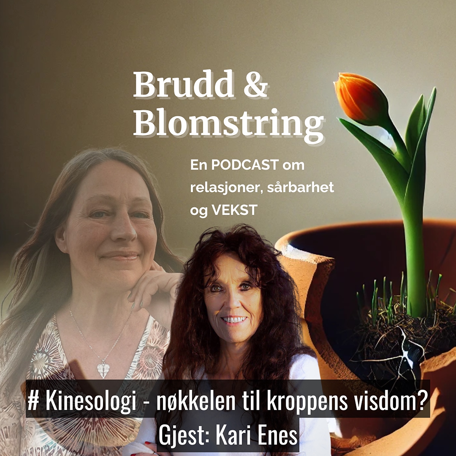 #17 Kinesiologi – nøkkelen til kroppens visdom? Gjest: Kari Enes episode artwork