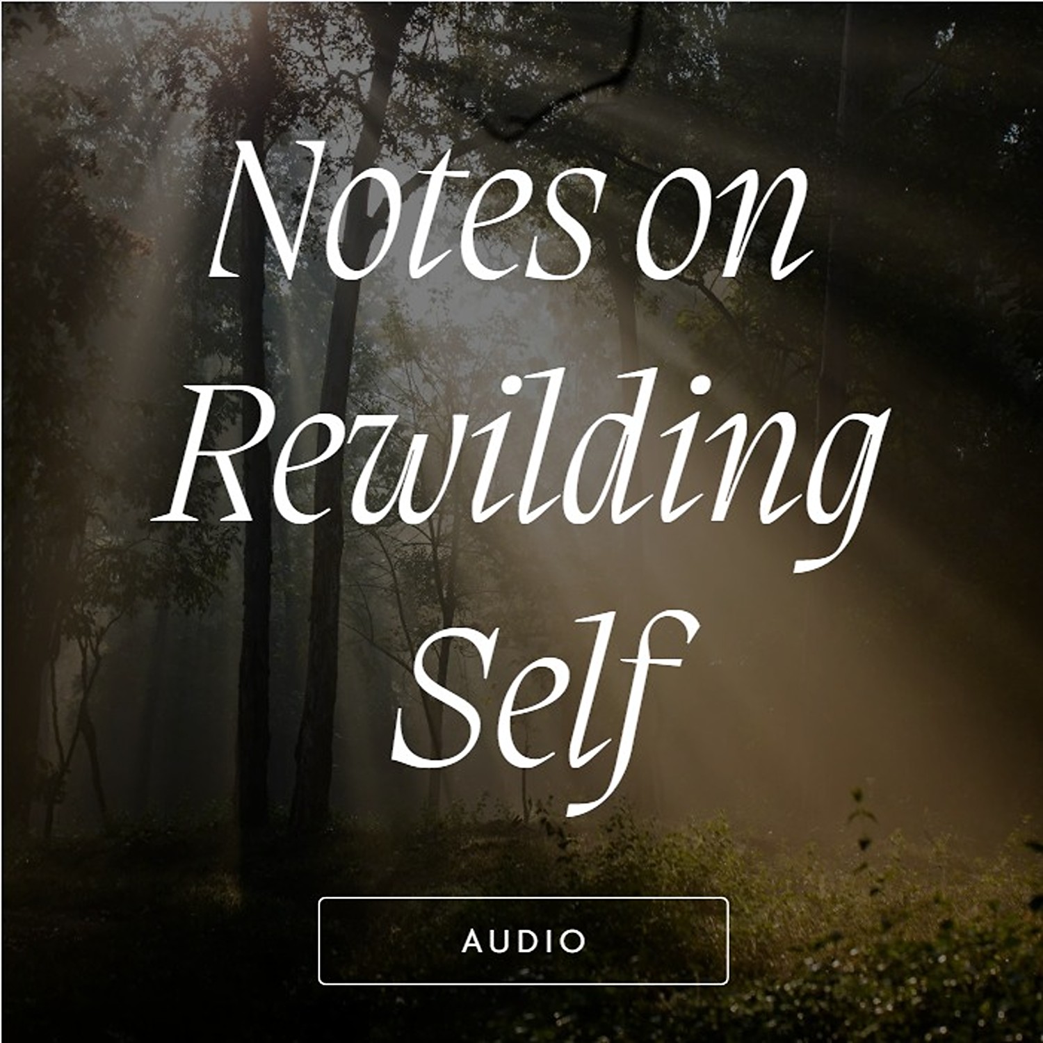 Notes on Rewilding Self