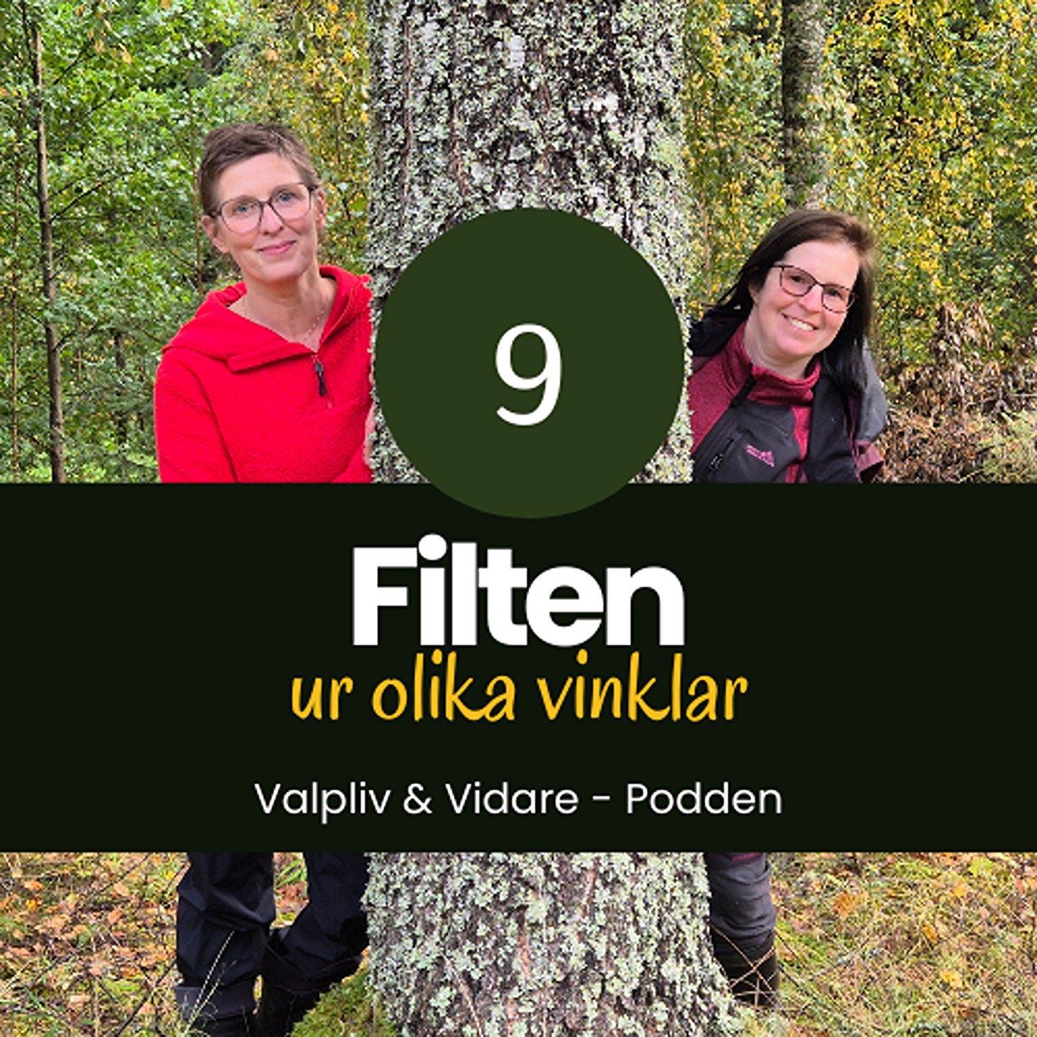Artwork for Valpliv & Vidare