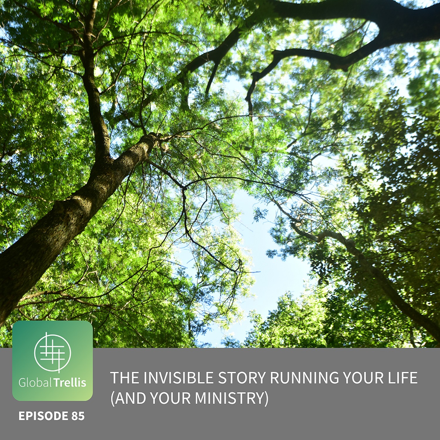 The Invisible Story Running Your Life (And Your Ministry) episode artwork