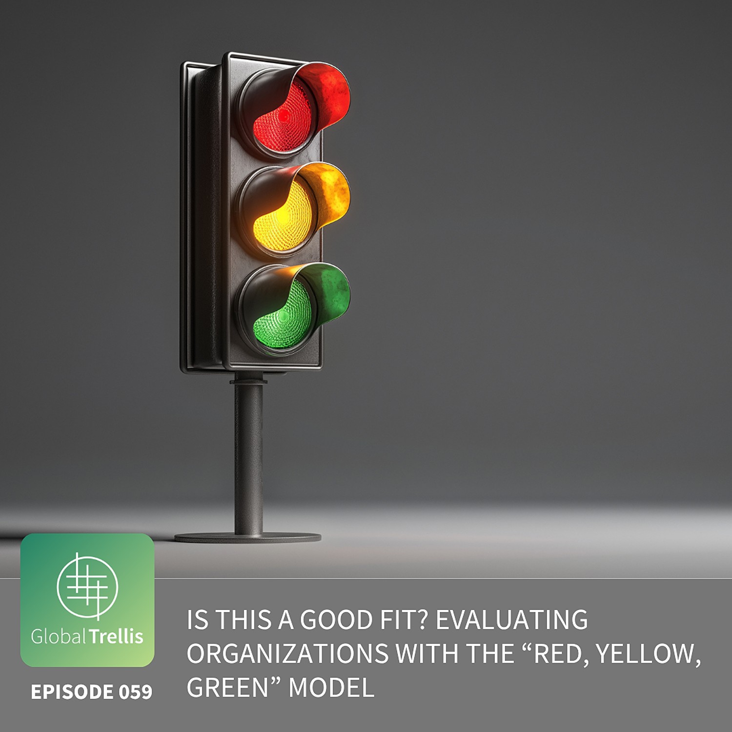 Is This a Good Fit? Evaluating Organizations with the “Red, Yellow, Green” Model