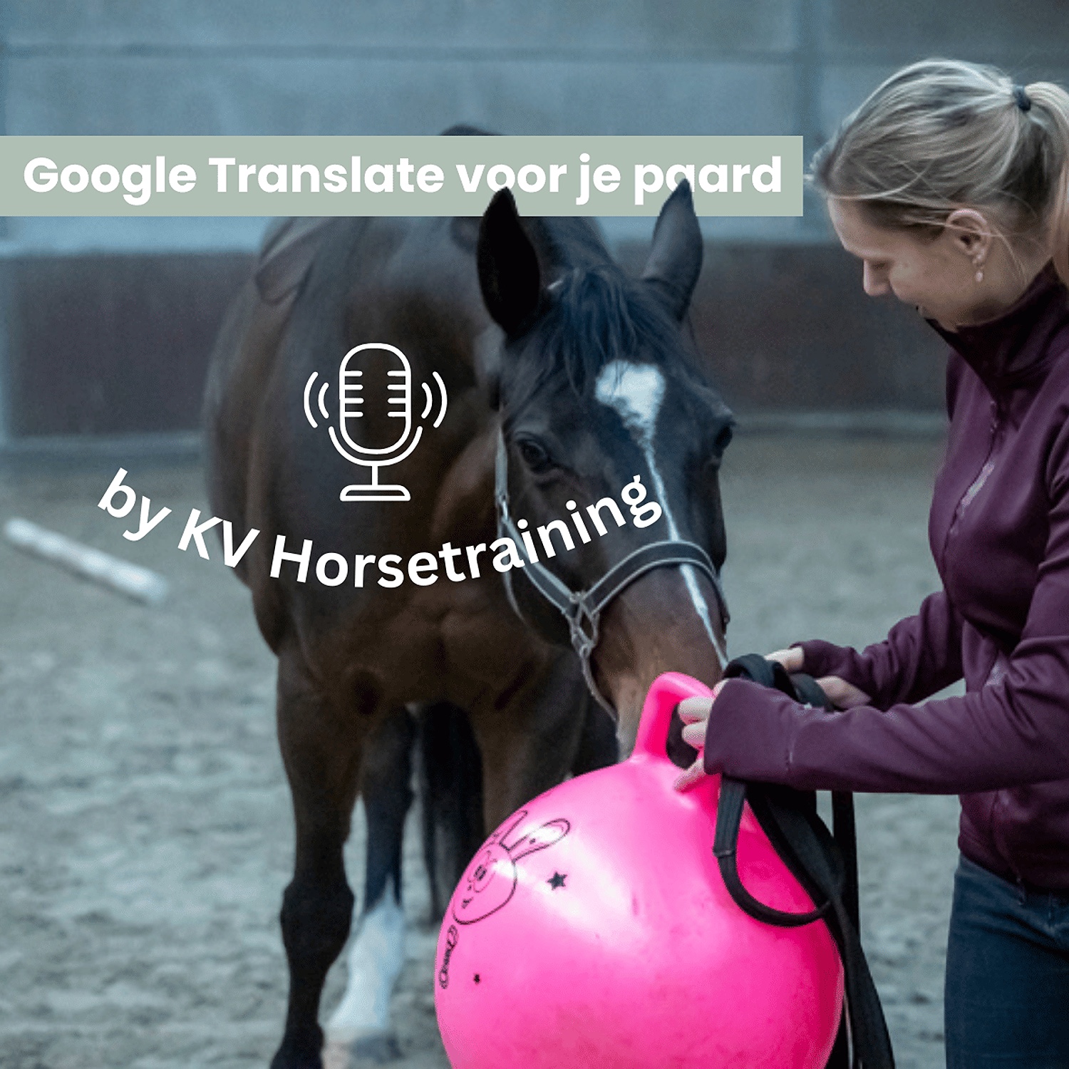 Google Translate voor je paard cover art