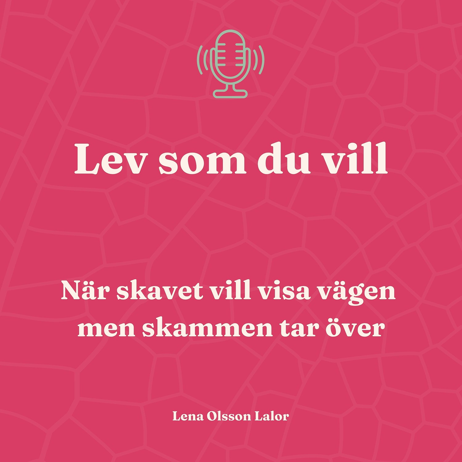 127. När skavet vill visa vägen men skammen tar över episode artwork