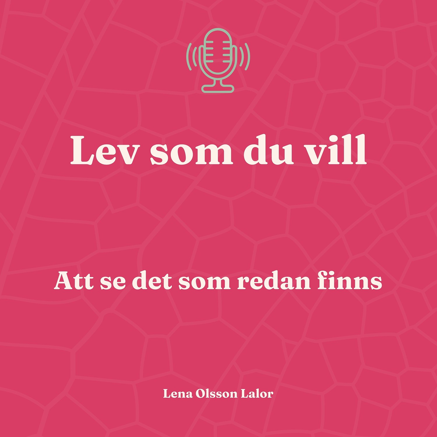 104. Att se det som redan finns 104. Att se det som redan finns