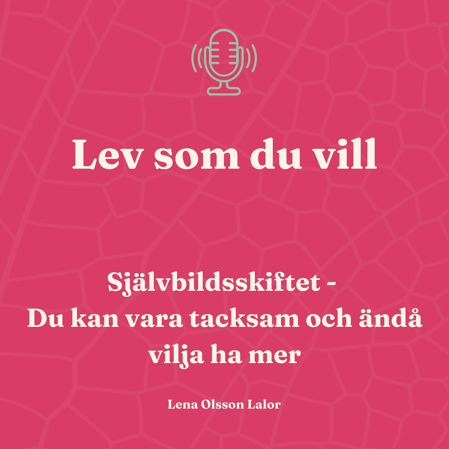 138. Självbildsskiftet: Du kan vara tacksam och ändå vilja ha mer episode artwork