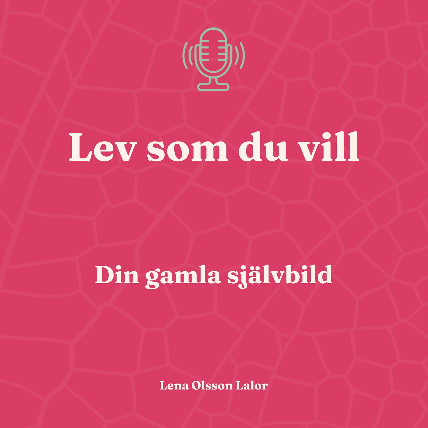 98. Din gamla självbild: Bättre självkänsla på 30 dagar 98. Din gamla självbild: Bättre självkänsla på 30 dagar