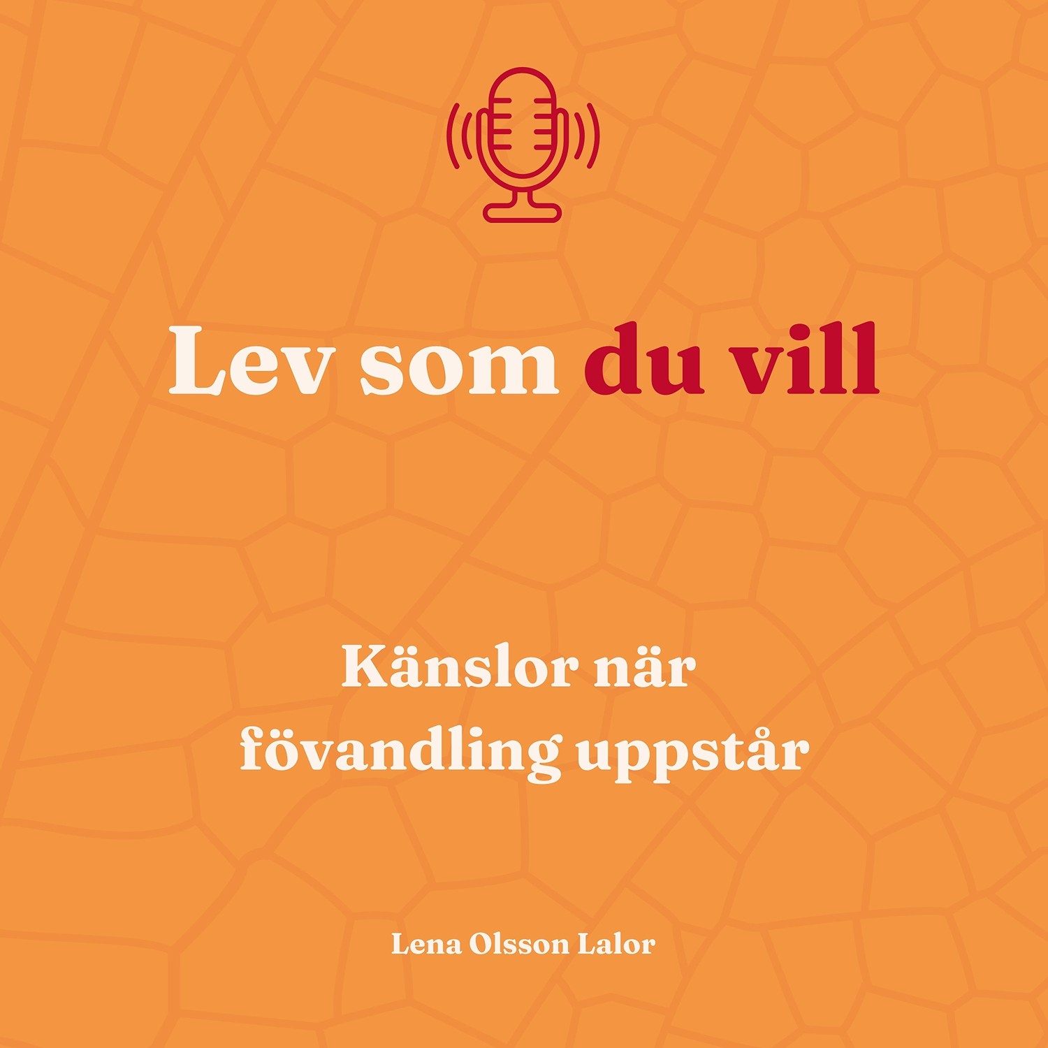 111. Känslorna när förvandling uppstår 111. Känslorna när förvandling uppstår