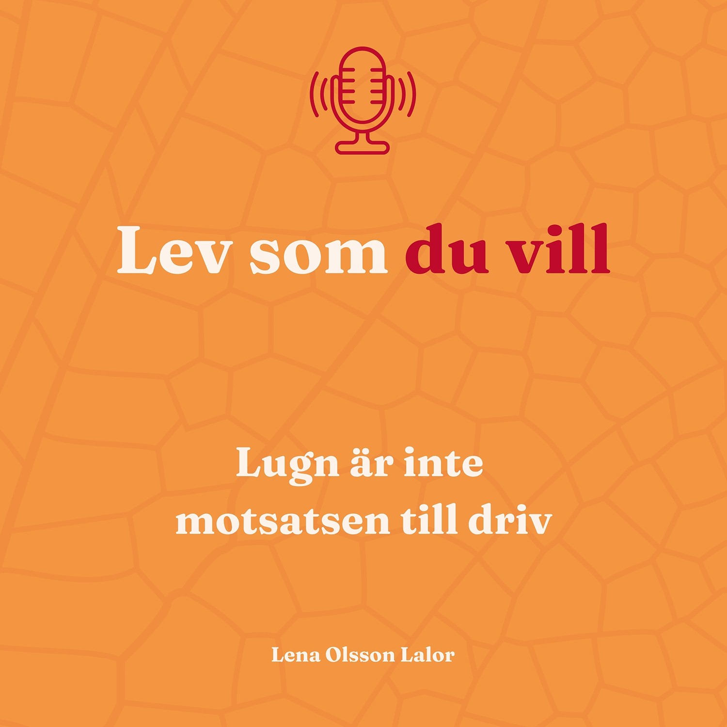 125. Lugn är inte motsatsen till driv episode artwork