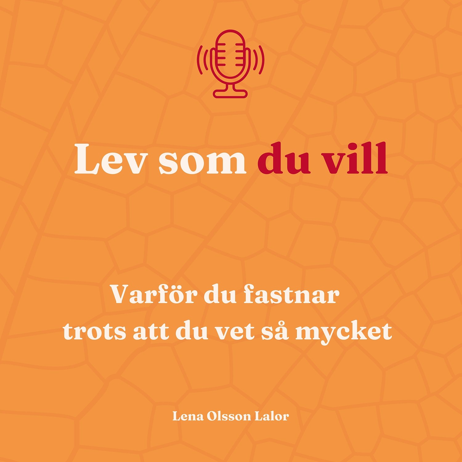 91. Varför du fastnar trots att du vet så mycket