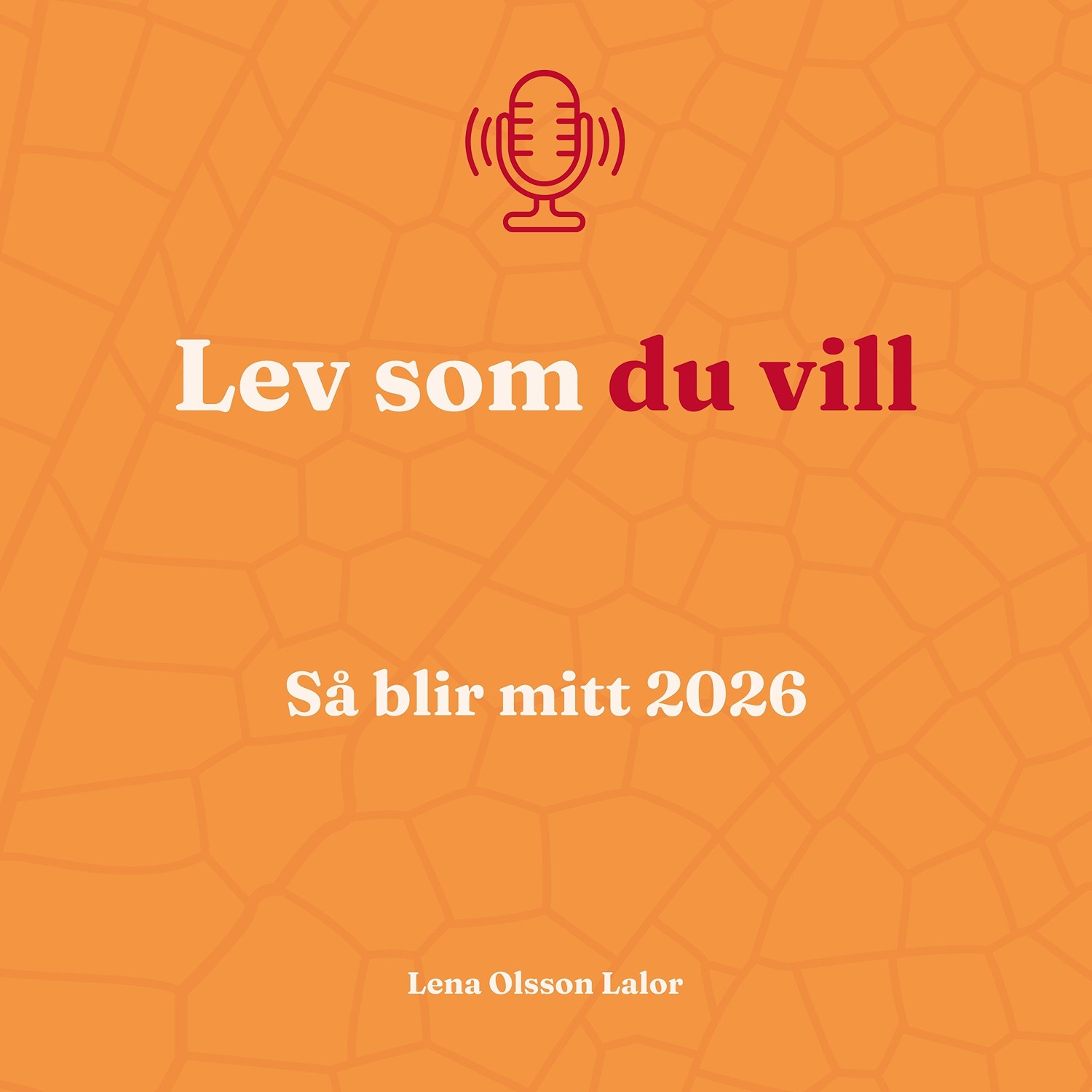 107. Så blir mitt 2026 107. Så blir mitt 2026