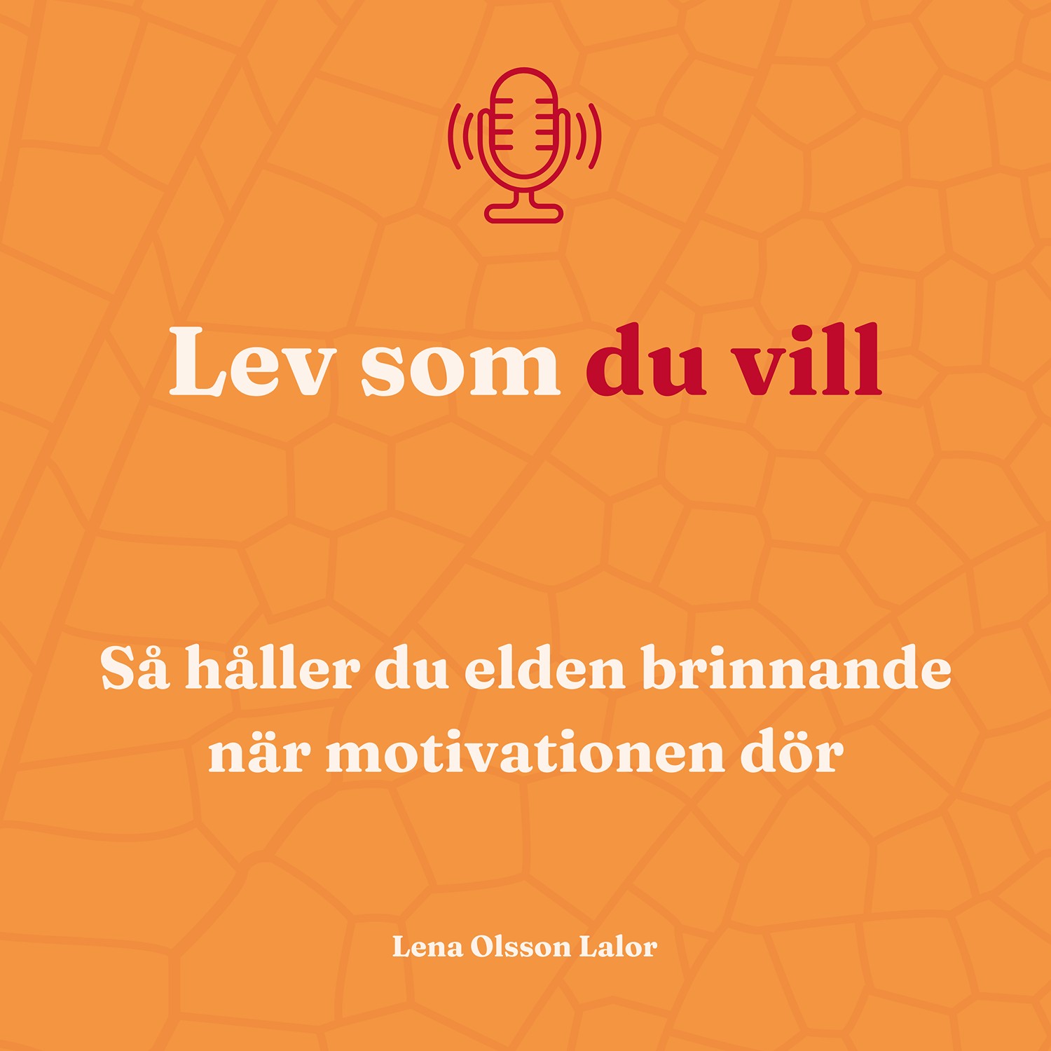 103. Så håller du elden levande när motivationen dör 103. Så håller du elden levande när motivationen dör