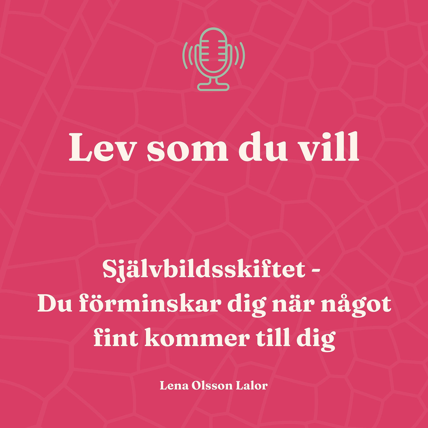 133. Självbildsskiftet: Du förminskar dig när något fint kommer till dig episode artwork