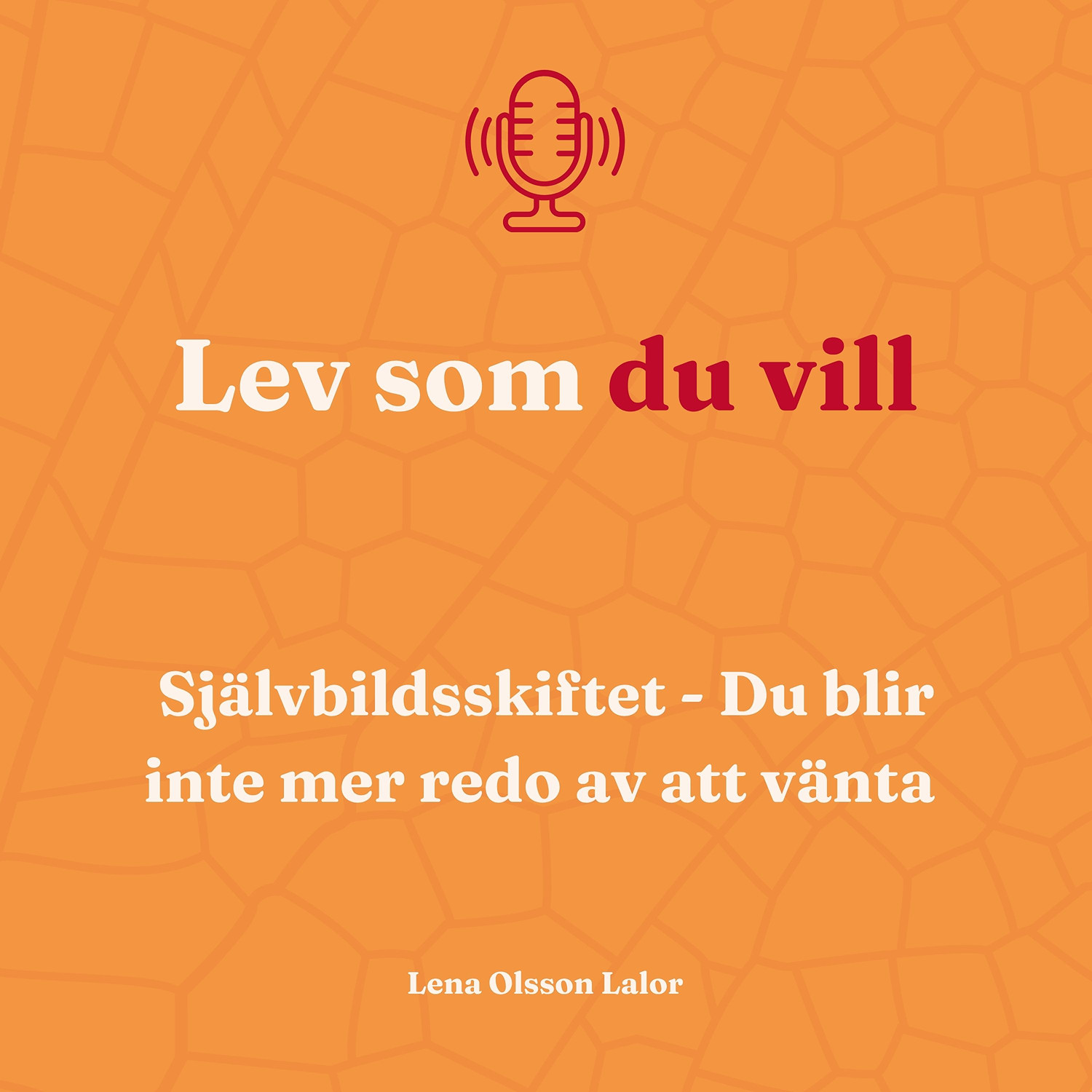 132. Självbildsskiftet: Du blir inte mer redo av att vänta episode artwork