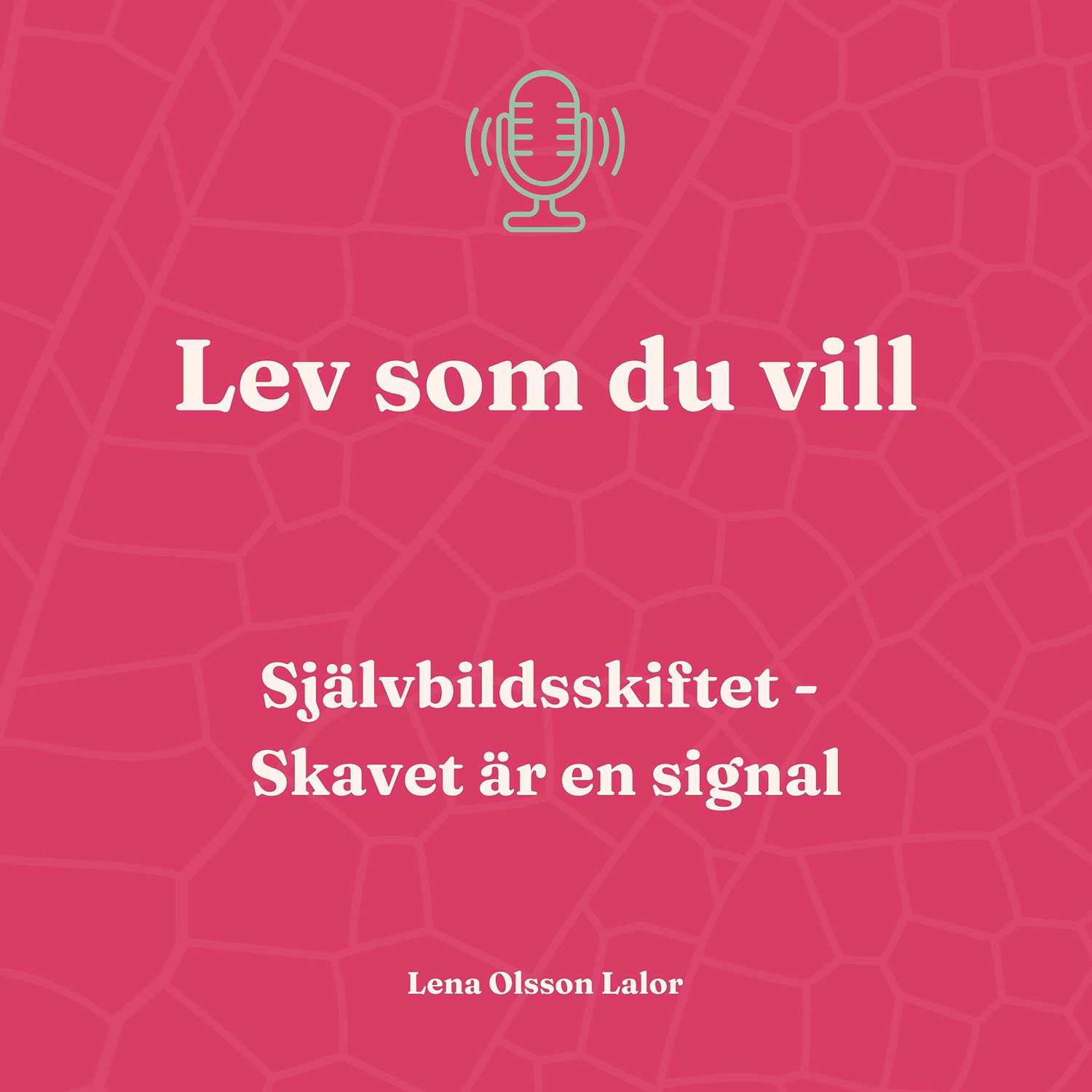 131. Självbildsskiftet : Skavet är en signal episode artwork
