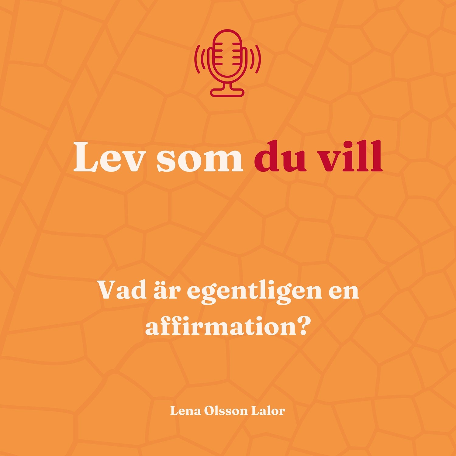 113. Vad är egentligen en affirmation 113. Vad är egentligen en affirmation