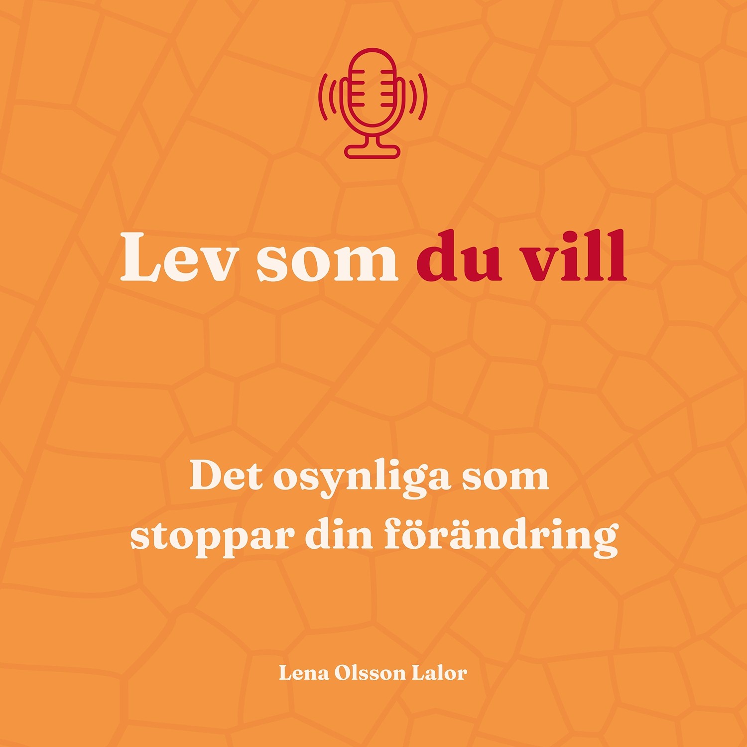 109. Det osynliga som stoppar din förändring 109. Det osynliga som stoppar din förändring