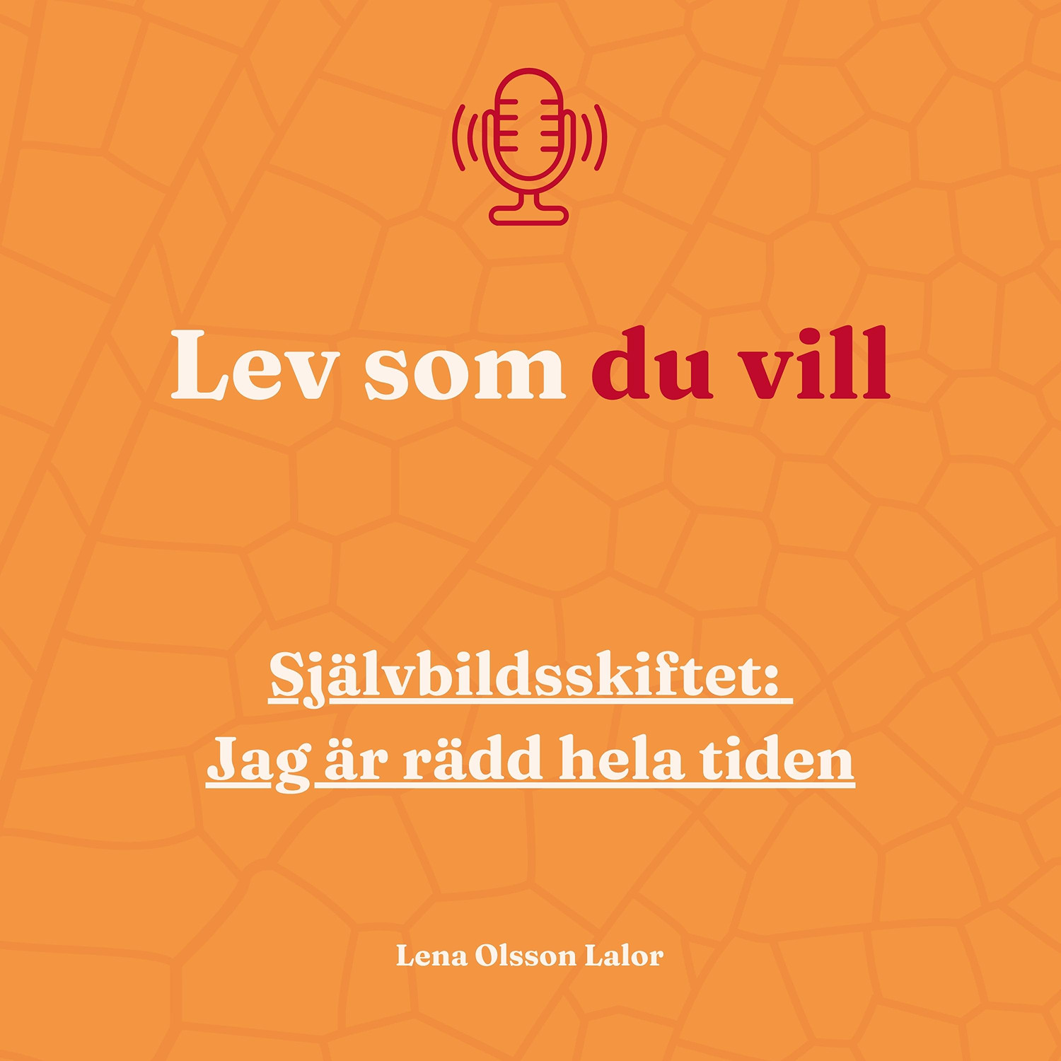 130. Självbildsskiftet: Jag är rädd hela tiden episode artwork