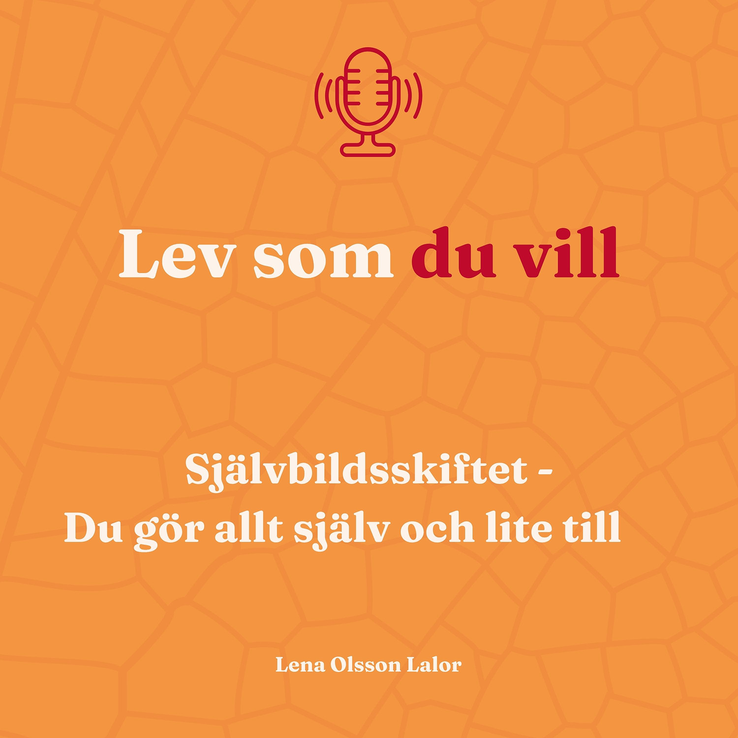 136. Självbildsskiftet: Du gör allt själv och lite till episode artwork