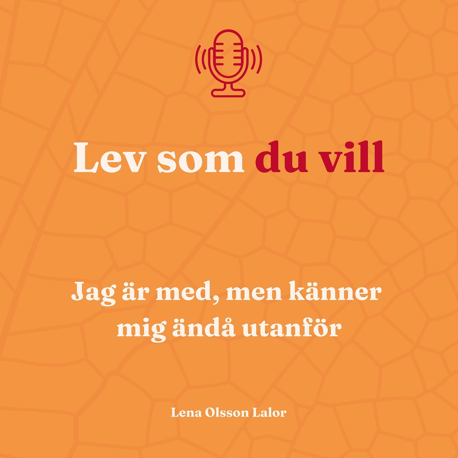 128. Jag är med, men känner mig ändå utanför episode artwork