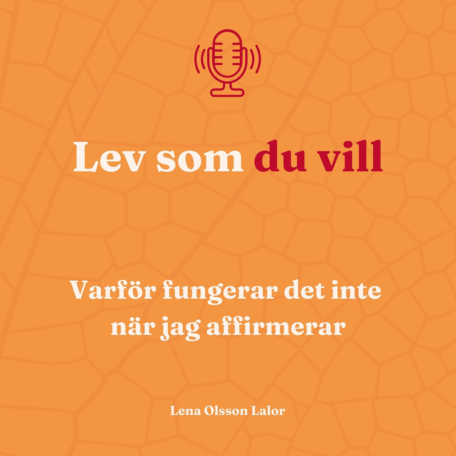 117. Varför fungerar det inte när jag affirmerar 117. Varför fungerar det inte när jag affirmerar