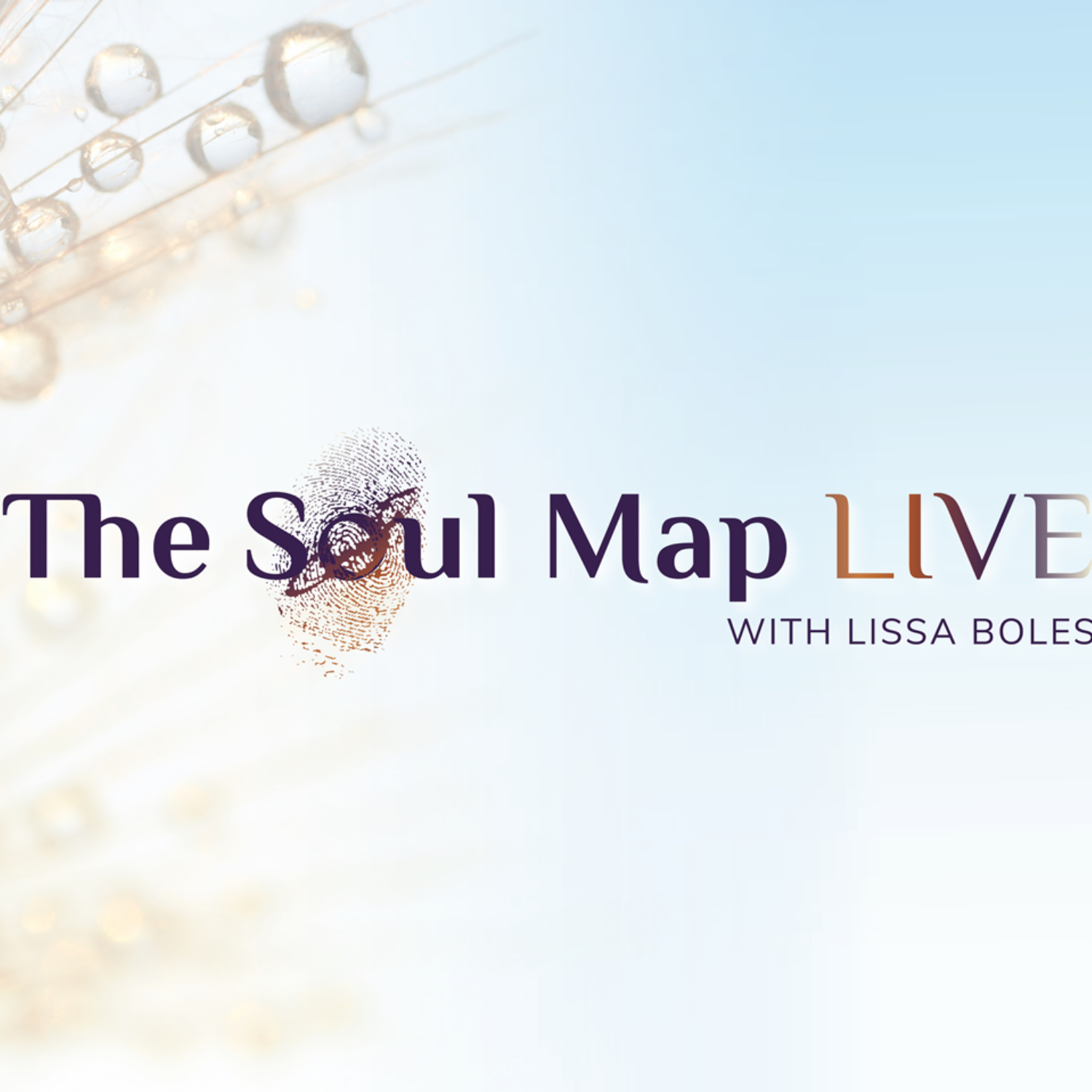 The Soul Map LIVE